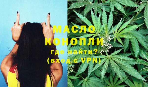 стаф Арсеньев