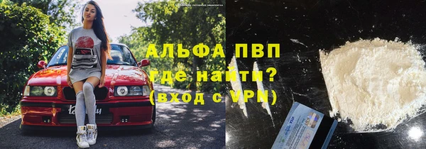 стаф Арсеньев